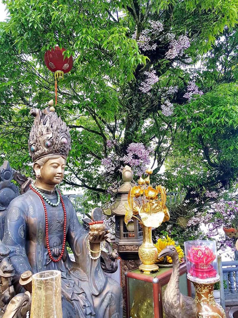 A Mother Goddess shrine — worshiping the divine mother according to Vietnamese folk belief — red lanterns, incense smoke