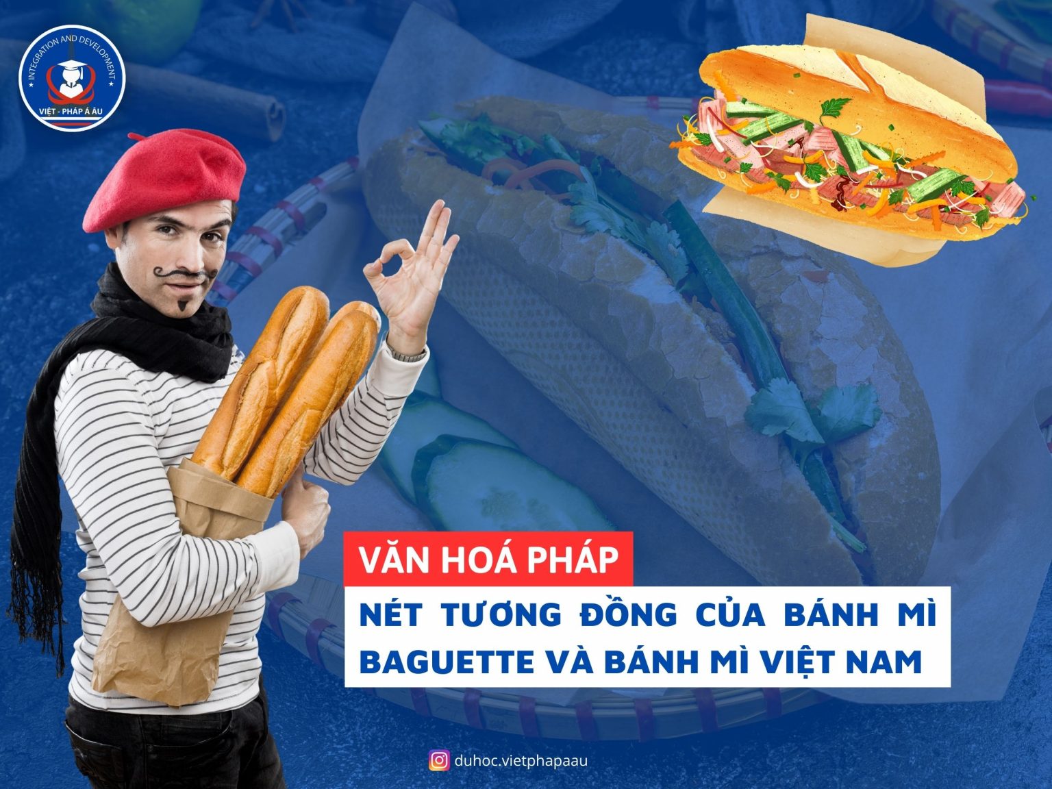 A French baguette vs. a Vietnamese Banh Mi — comparing the physical structure: the French is long and dense, the Vietnamese is short and airy