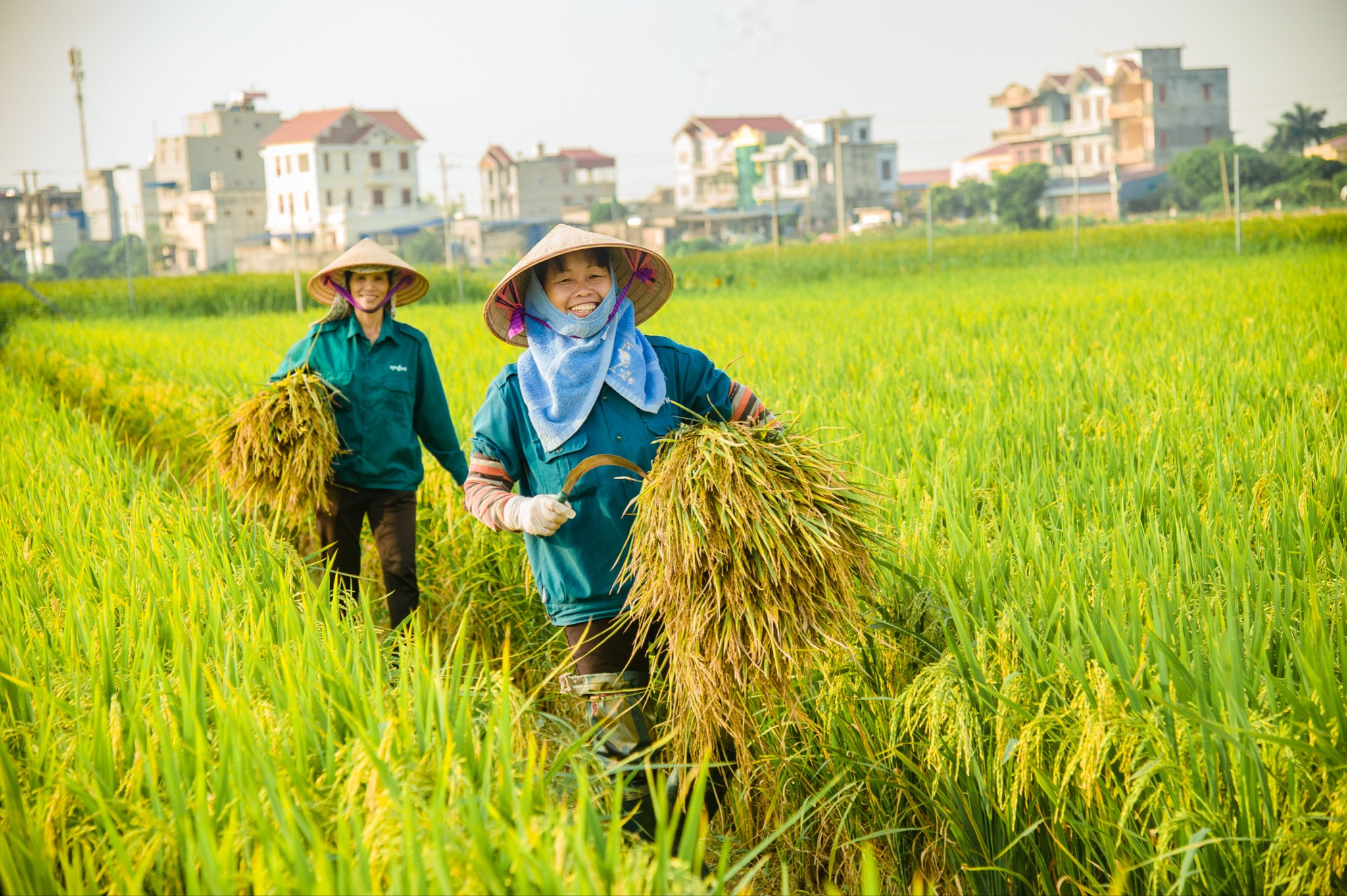 A Western farmer still working the fields — remaining calm amidst monumental environmental shifts